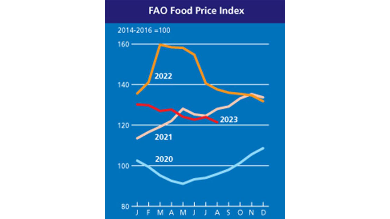 세계 식량가격 다시 하락‥전월 대비 2.1%↓