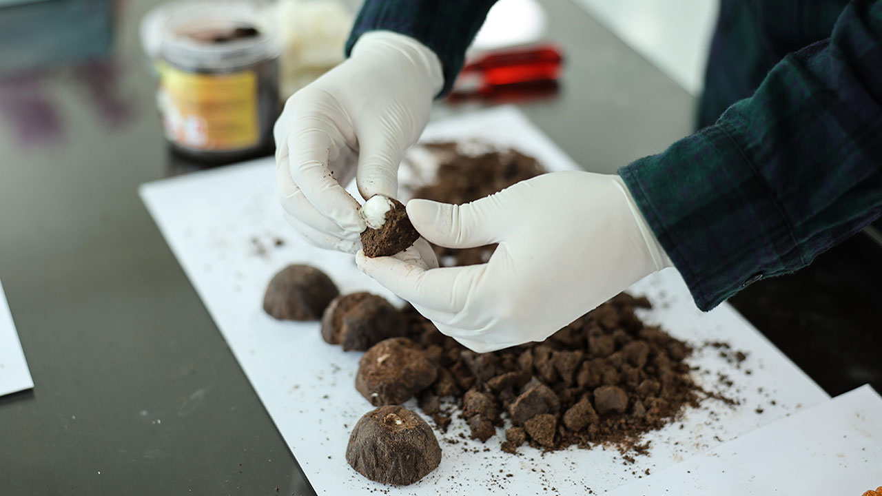 방역 완화에 여행자 통해 밀수된 마약량 7.6배로 급증