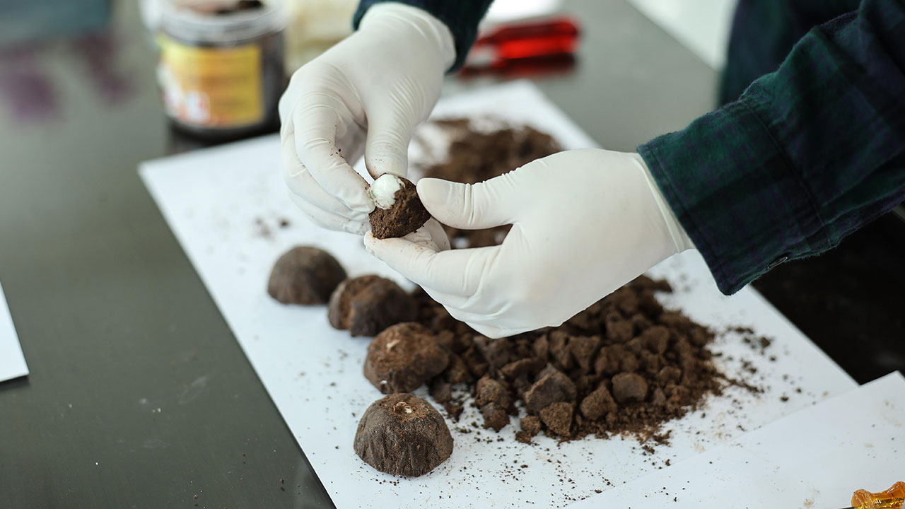 올해 9월까지 마약 493㎏ 적발‥작년보다 30% 늘어