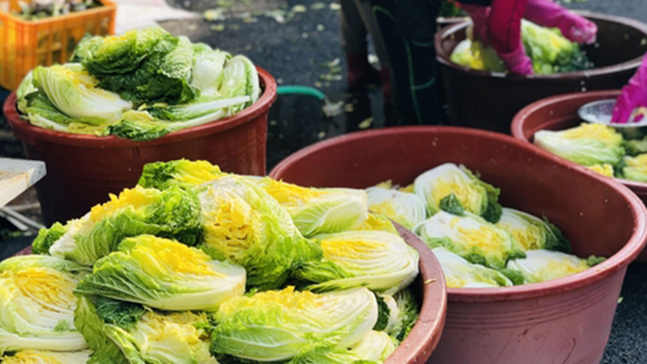 물가협회 "4인 가족 김장에 38만 원‥절임배추 쓰면 46만 원"