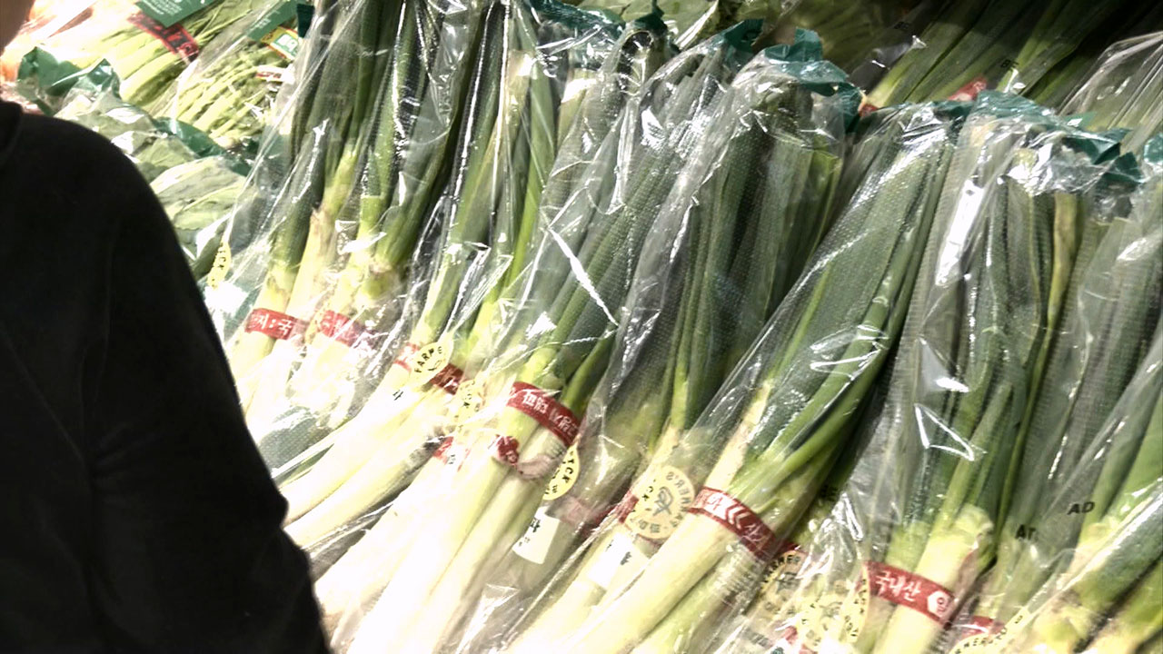 12월에도 대파 가격 고공행진‥"1년 전보다 48.5% 비쌀 것"