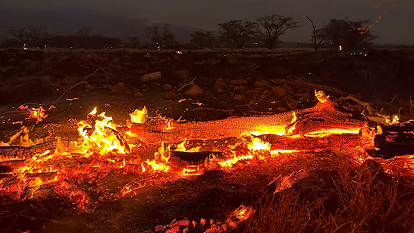 외교부, 하와이 산불에 "오전 기준 우리 국민 인명피해 없어"