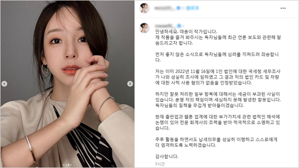 인기 웹툰작가 야옹이, "탈세혐의 일부 시인 하지만 슈퍼카 사적사용 안해"