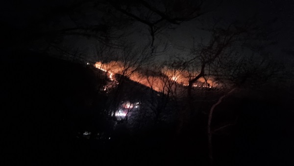 전남 순천 야간 산불‥1단계 발령·주민 55명 대피