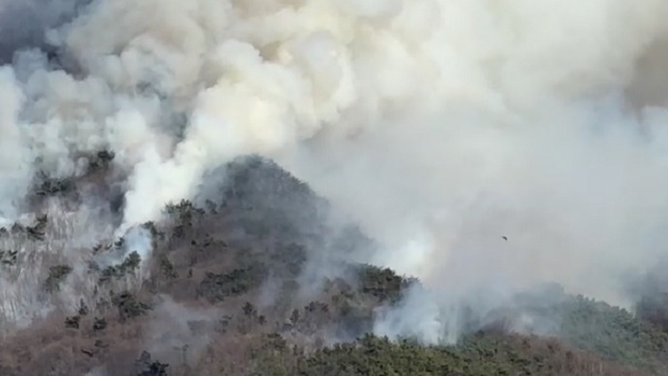 인천 강화군 마니산서 불‥"20ha 불에 타" 