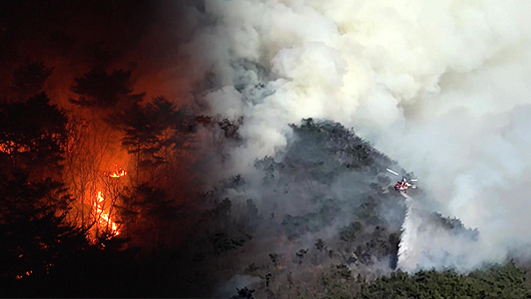 인천 강화군 마니산 산불 17시간 만에 진화‥소방대응 1단계로 하향 