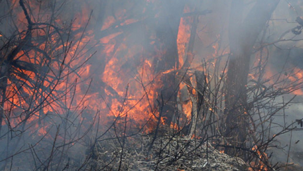 충남 천안 산불 2시간 만에 진화‥인명 피해 없어