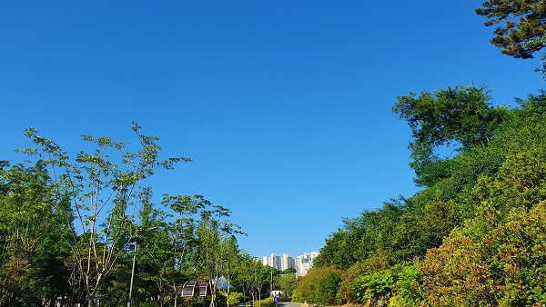 [날씨] 전국 대체로 맑음‥곳곳 낮기온 25도 이상