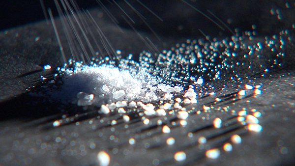 마약 든 지갑 두고 간 20대 여성‥지갑 찾으러 갔다가 경찰에 '덜미' 