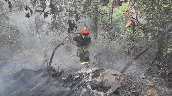 관악산 방화범 구속송치‥"술 먹으면 방화 성향"