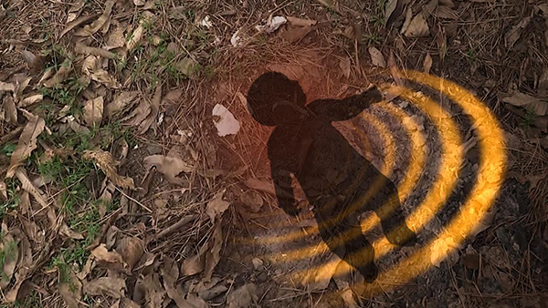 거제서 생후 5일 '미등록 아동' 시신 유기한 부부 구속영장