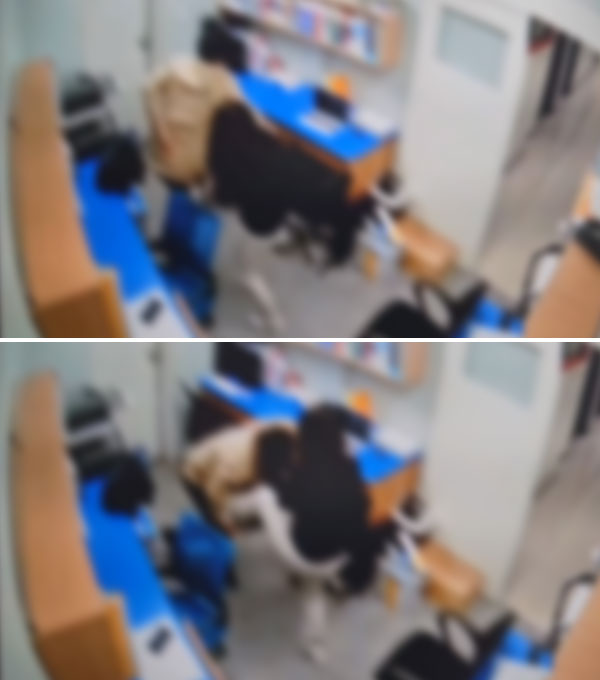 [단독] '공포의 학원'‥강사 10달 동안 폭행하며 돈 뜯어낸 원장 구속 송치