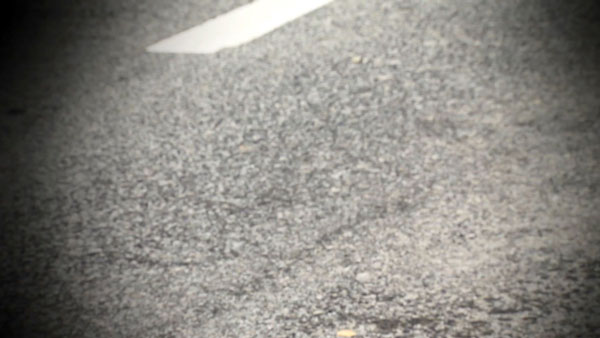 마약 투약하고 왕복 8차로 뛰어든 30대 여성 불구속 입건