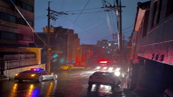 서울 서대문구 가로수 고압선 끊어 일대 정전