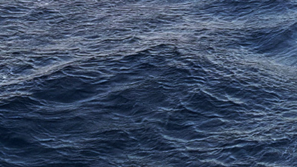 인천 잠진도 해안가서 캠핑하던 30대 여성 바다에 빠져 숨져