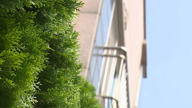 남양주 모녀 살해 용의자, 충남 보령서 검거