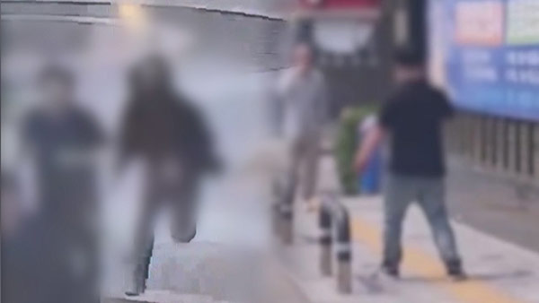 검찰, 신림역·서현역 칼부림 사건 전담수사팀 구성