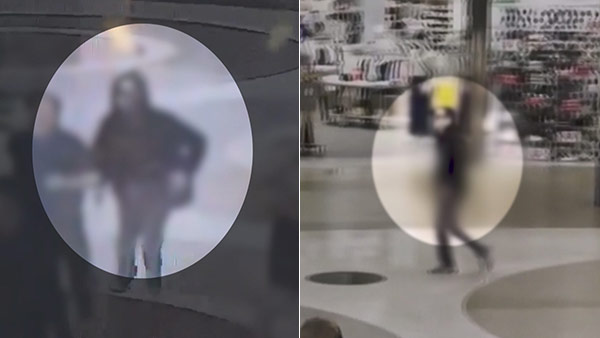 경찰, '서현역 흉기 난동' 20대 피의자 구속영장 신청