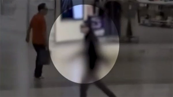 '분당 흉기 난동' 20대 피의자 구속 여부 오늘 오후 결정