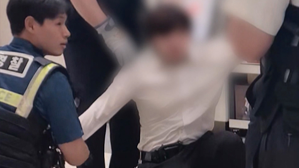 강남터미널 '흉기 배회' 20대 영장심사‥"자살하려고 흉기소지" 주장