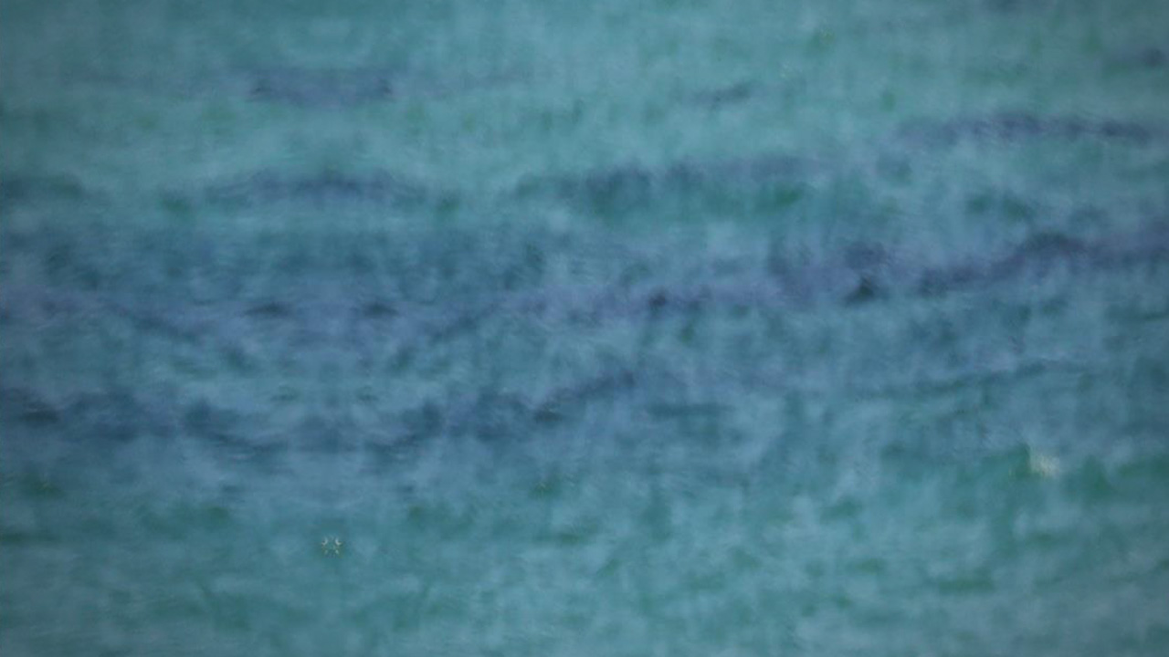 충북 음성에서 물놀이하던 태국인 2명 물에 빠져‥1명 사망·1명 실종 