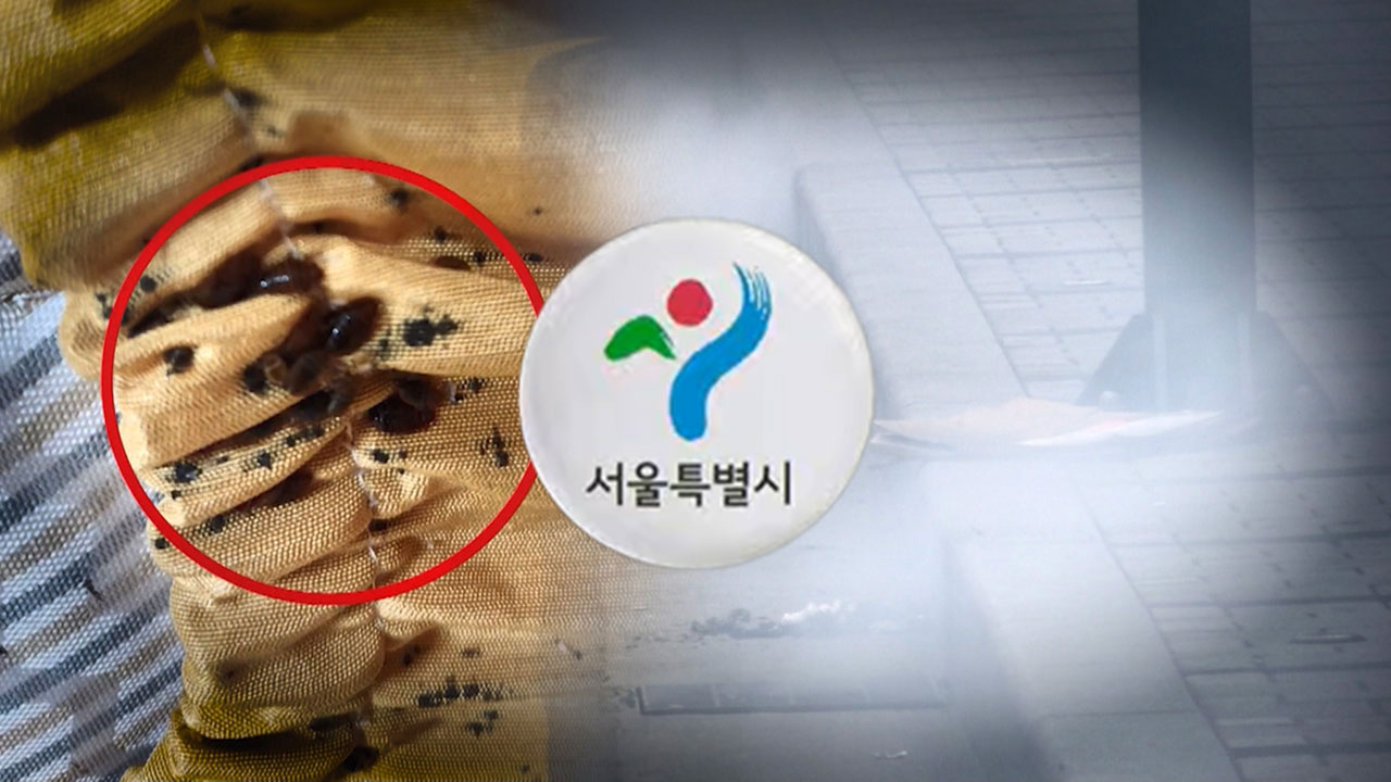 서울시, 빈대 출몰 총 23건 확인‥"빈대는 재난·안전 문제"
