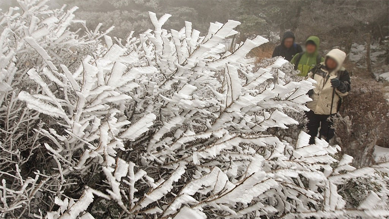 제주 한라산에 첫눈 관측‥지난해보다 18일 일러