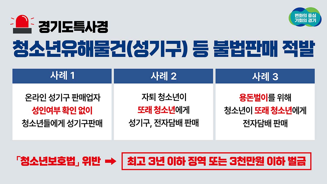 성인인증 없이 청소년에 성인용품 판매한 쇼핑몰 대표 등 적발 