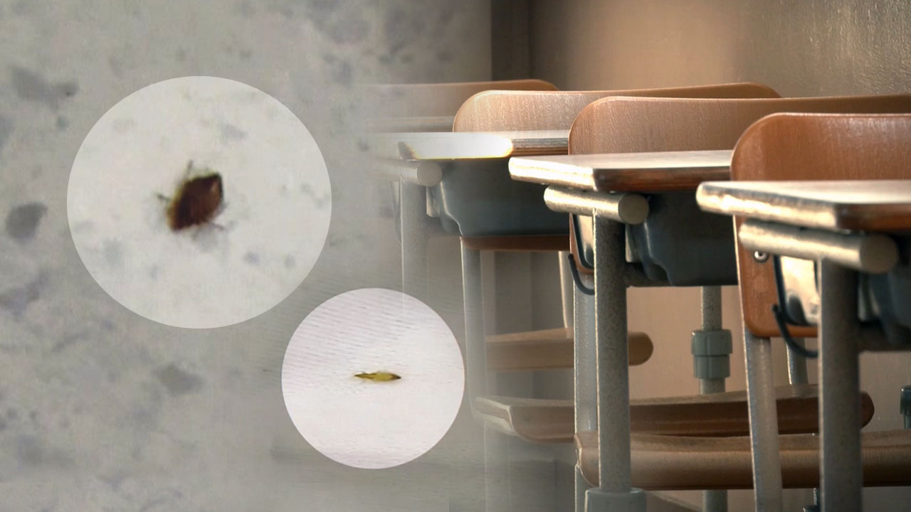 인천 서구의 한 중학교서 빈대 발견‥방역 조치 강화