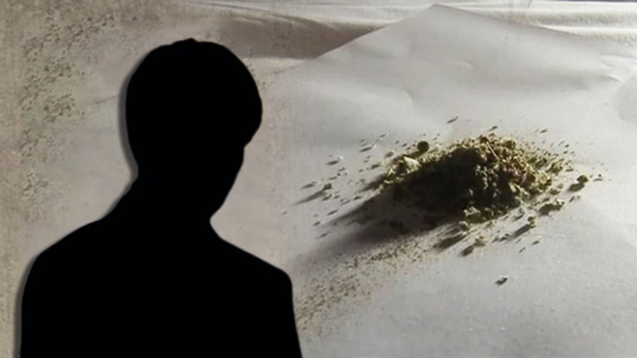 "찌개·카레·파스타에 대마초"‥대마 재배·섭취 20대 실형