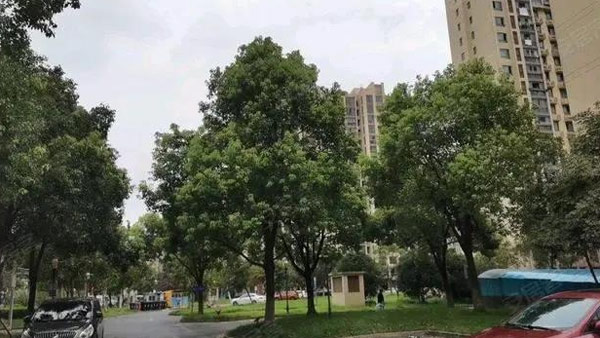 중국 상하이서 이혼부부 재산 분할 다툼 중 3명 사망·1명 부상