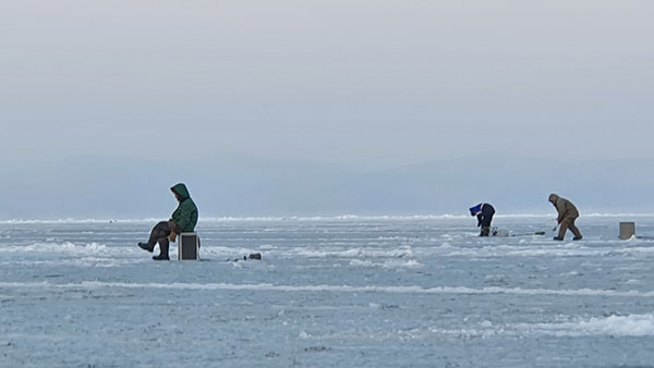러시아 극동 얼음바다 일부 떨어져..낚시하던 50명 고립돼 
