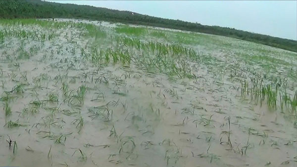 북한, 가뭄에 이어 폭우 걱정‥모내기 앞두고 날씨에 '촉각'