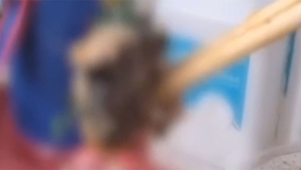 中 식당서 또 '쥐머리' 나와‥이번엔 종합병원 식당  