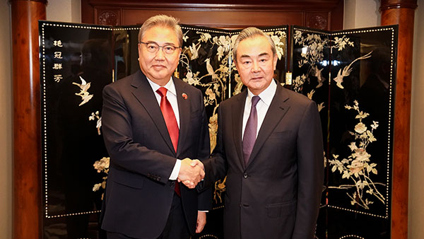 中왕이, 박진에 "간섭 배제하고 '하나의 중국' 엄수하길"