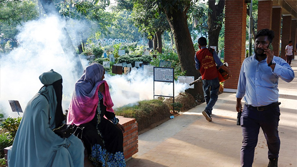 방글라데시, 뎅기열 확산에 비상‥7월에만 165명 사망