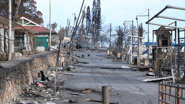 하와이 산불 사망자 67명으로 늘어‥"한인 주택 10여 채 전소"