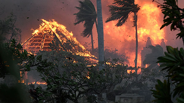 하와이 산불 사망자 89명‥100여년 만에 최악 피해