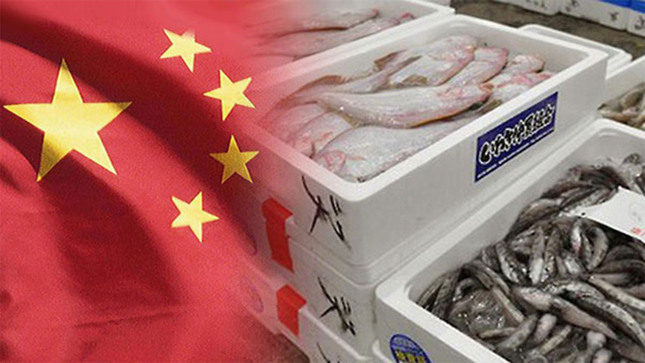 '일본산 수산물' 중국 수출 9월에 전무‥수입 금지 조치 영향