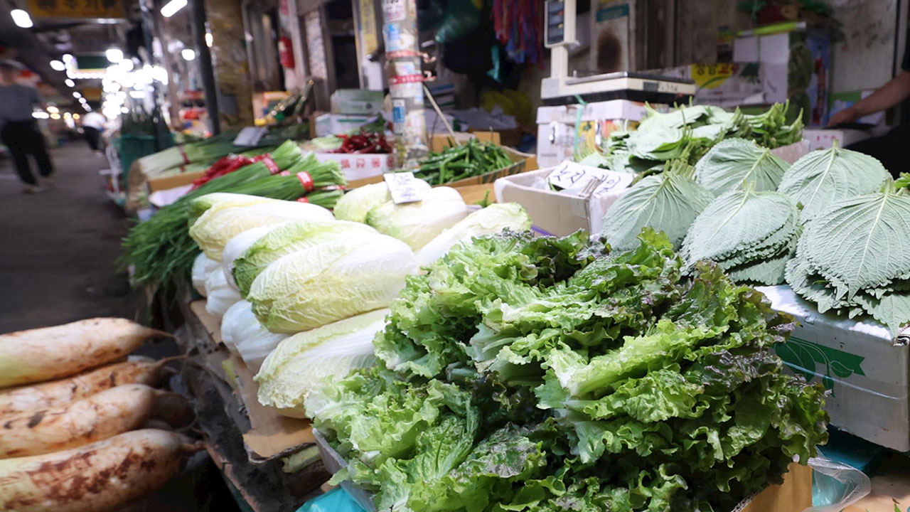 파 50%·배추 21%↑‥과일뿐 아니라 채소 값도 기승