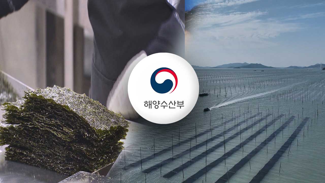 김 양식장 2천700㏊ 신규 개발‥계약재배 검토