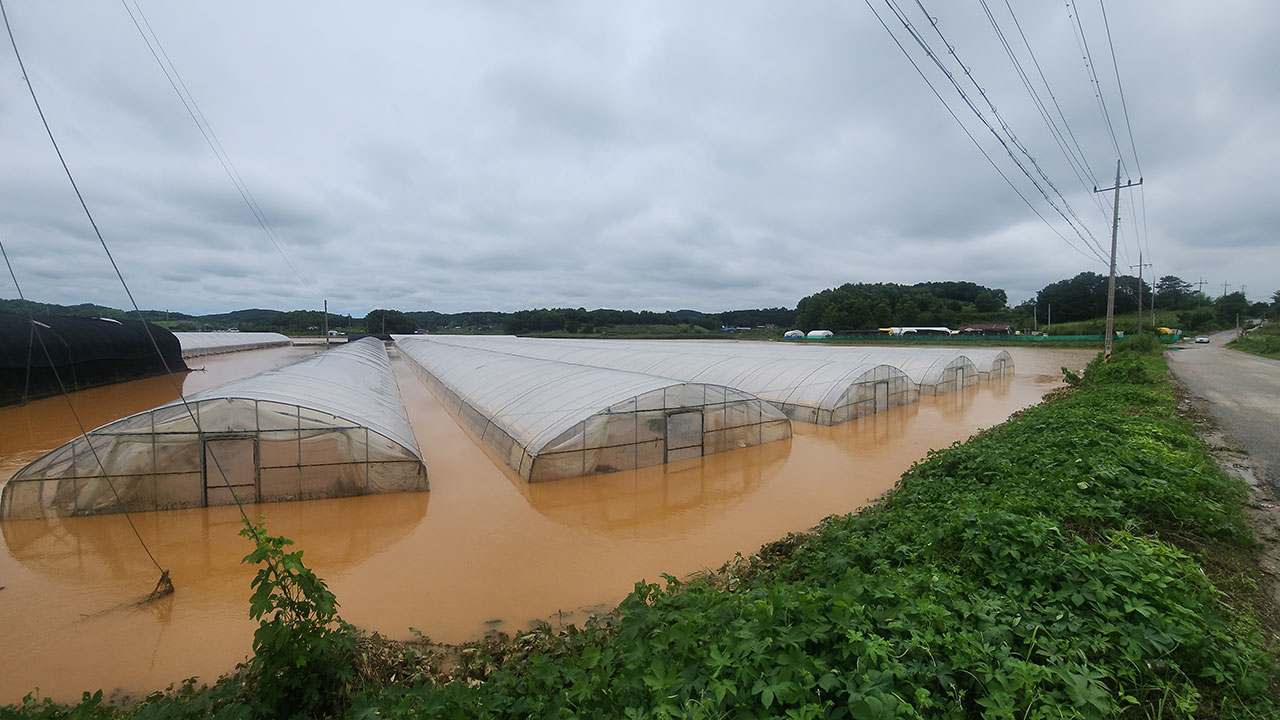 농식품부 "집중호우로 가축 76만 마리 이상 폐사‥농작물 침수 면적 1만 756헥타르"
