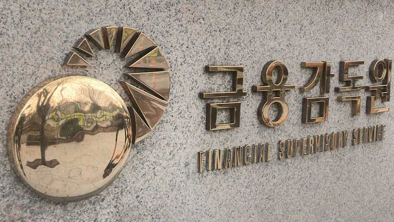 금감원 해외여행보험 안내 "휴대품 손해 특약, 분실은 보상 불가"