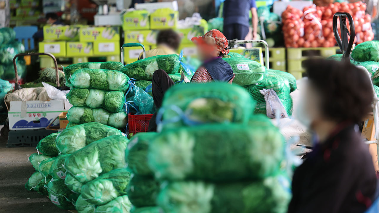10월 농산물값은‥"배추는 1년 전보다 38% 비싸고 사과는 저렴"