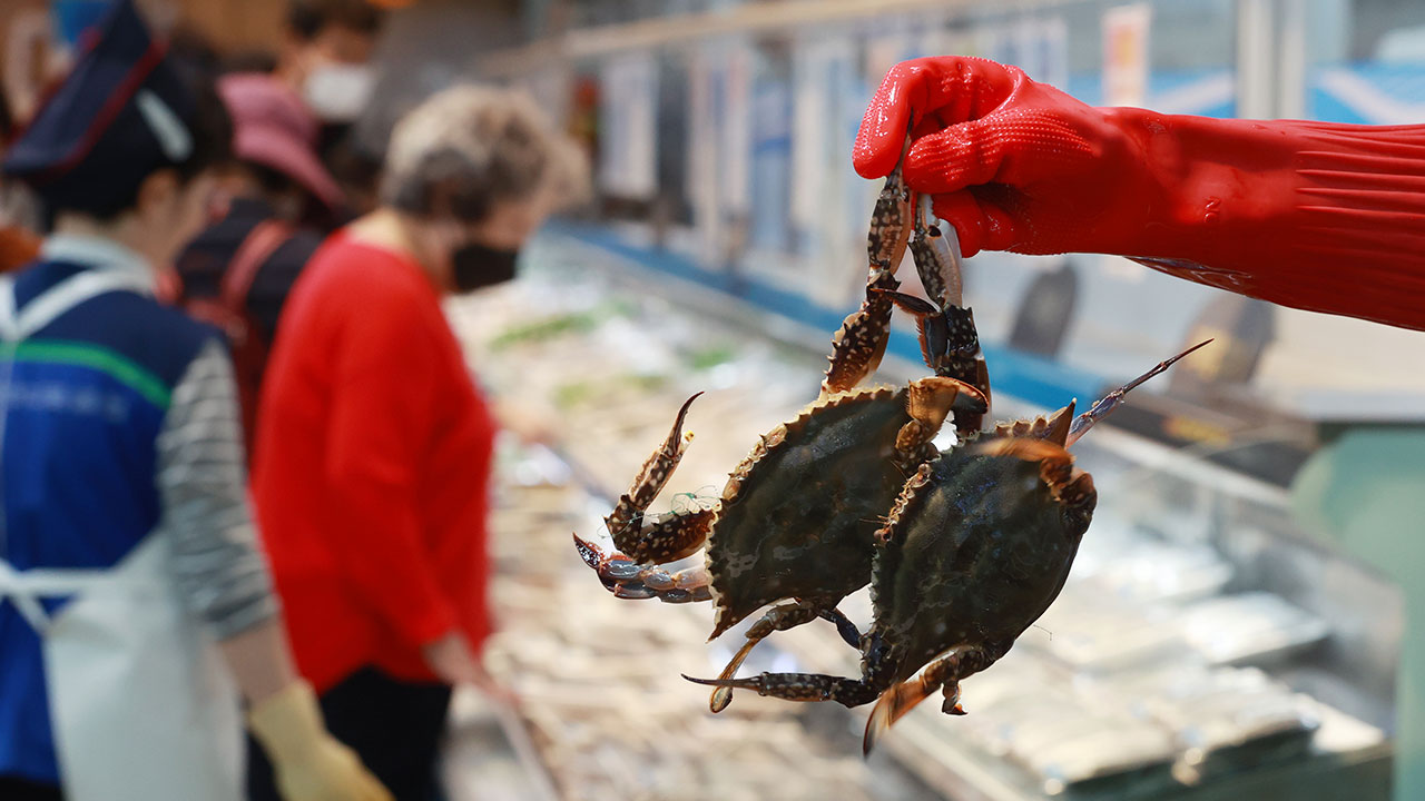 수협, 가을 꽃게 최대 반값에 판매