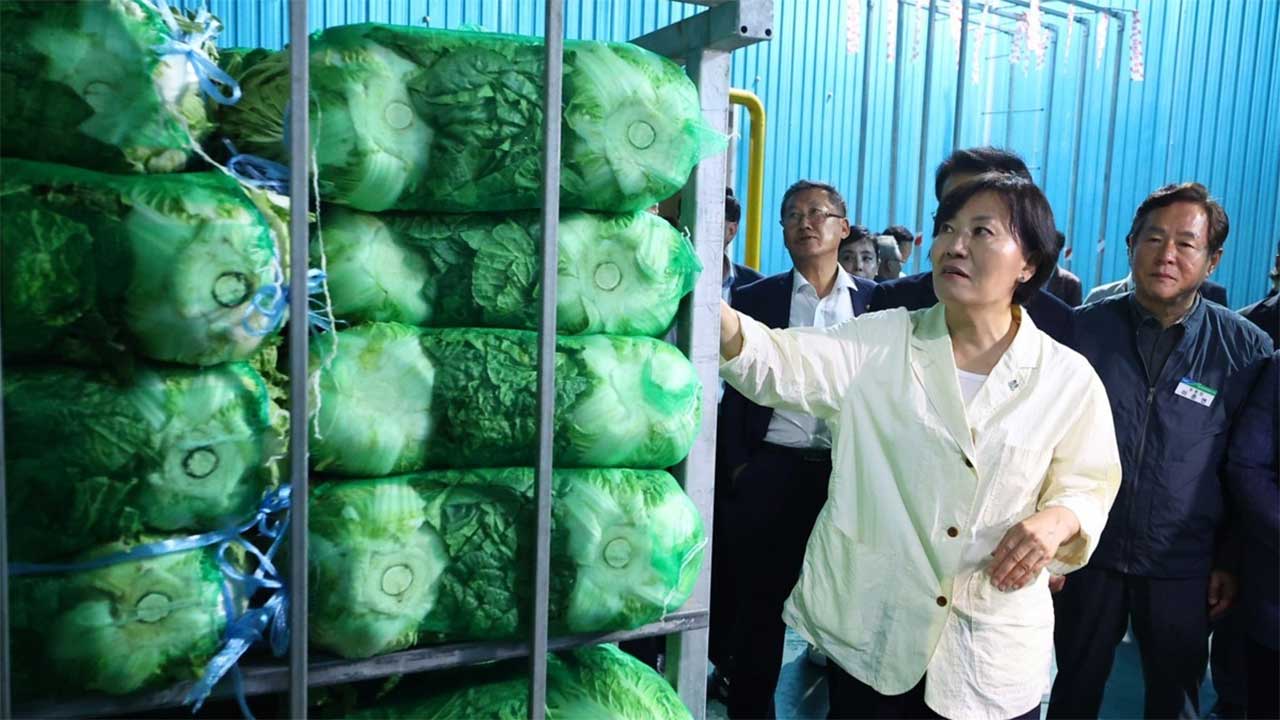 송미령 "온라인바카라 배추 생육 양호‥배춧값·온라인바카라 비용 평년 수준 될 것"