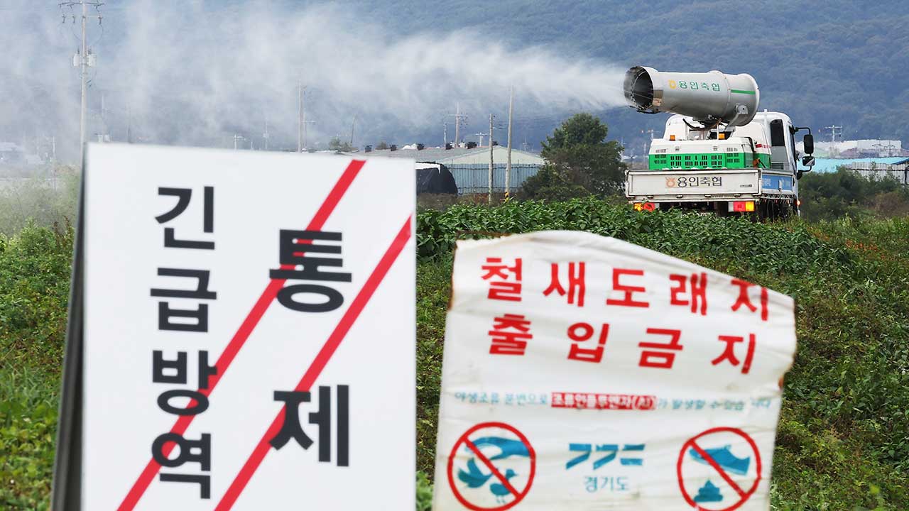 충북 진천서 고병원성 AI‥전국 가금바카라 18번째