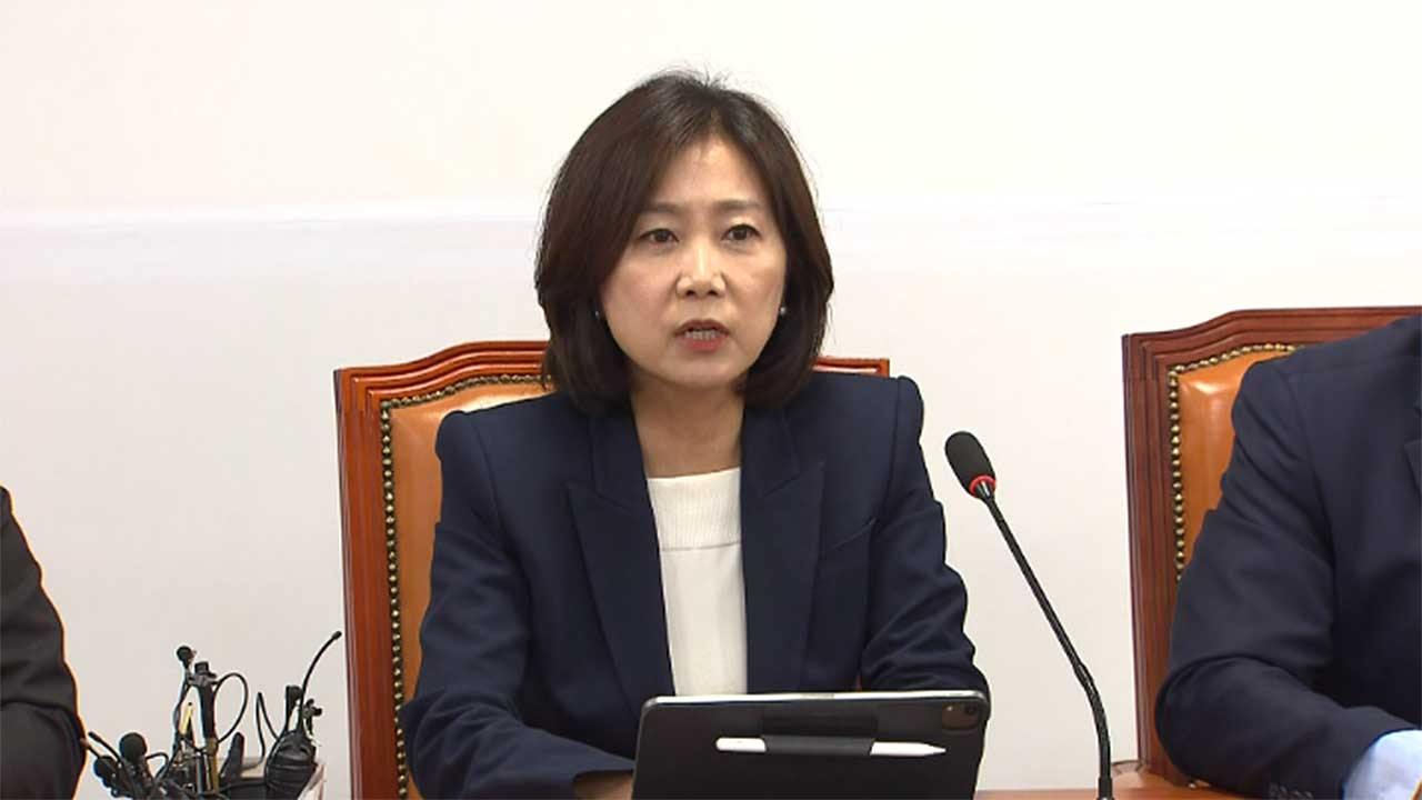 허은아, 국민의힘 의원 전원 부르며 "특검법 찬성해 달라"