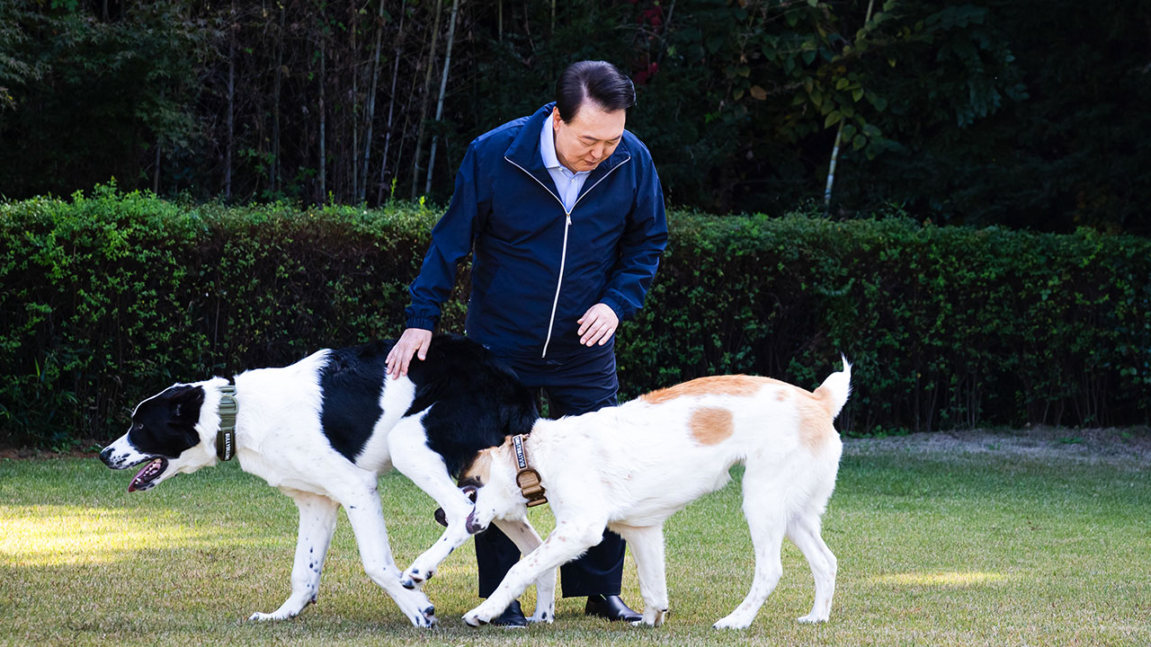 투르크멘서 받은 국견들, 서울대공원으로‥"윤 대통령 부부, 목도리·간식 선물"