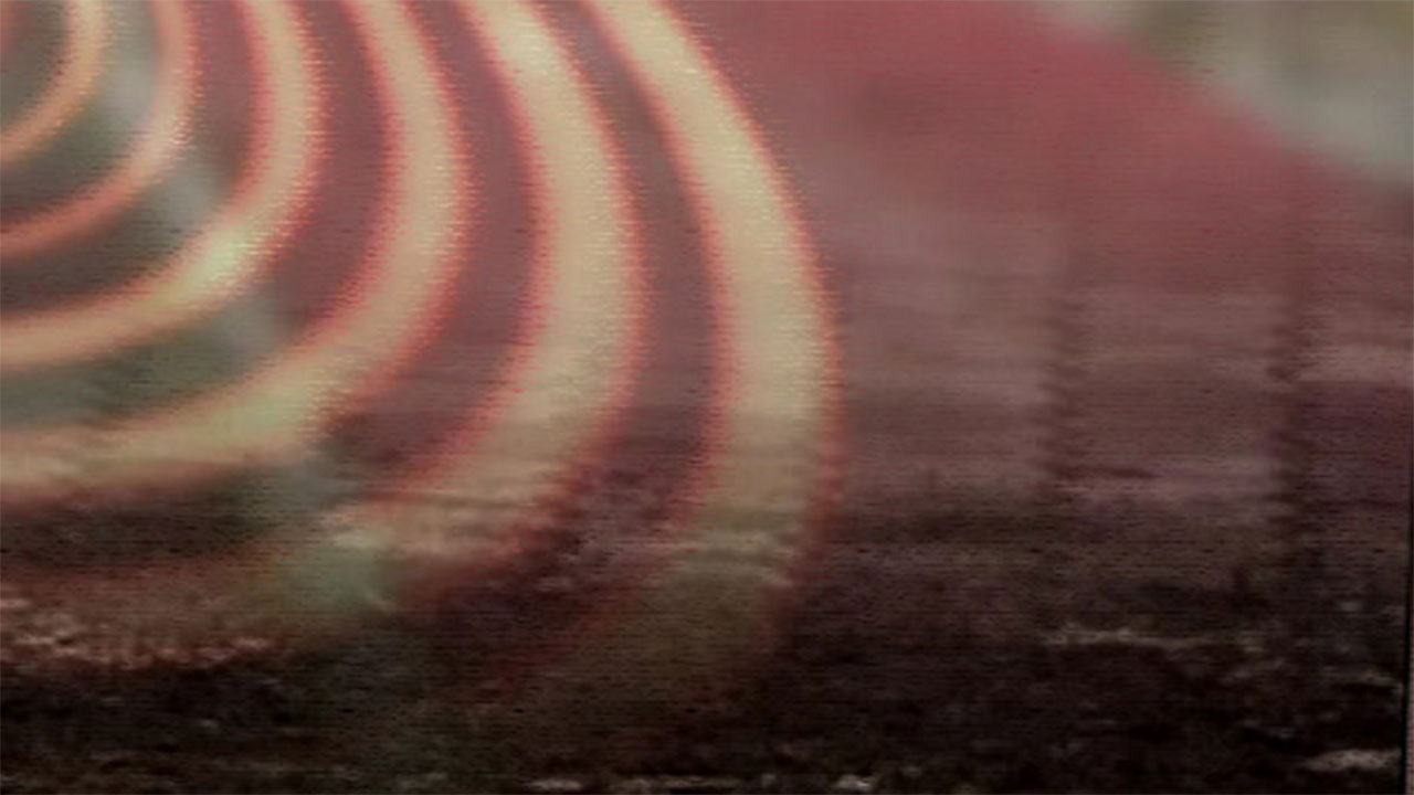 천하장사 지낸 유명 전직 씨름선수, 재활병원 옥상서 추락사